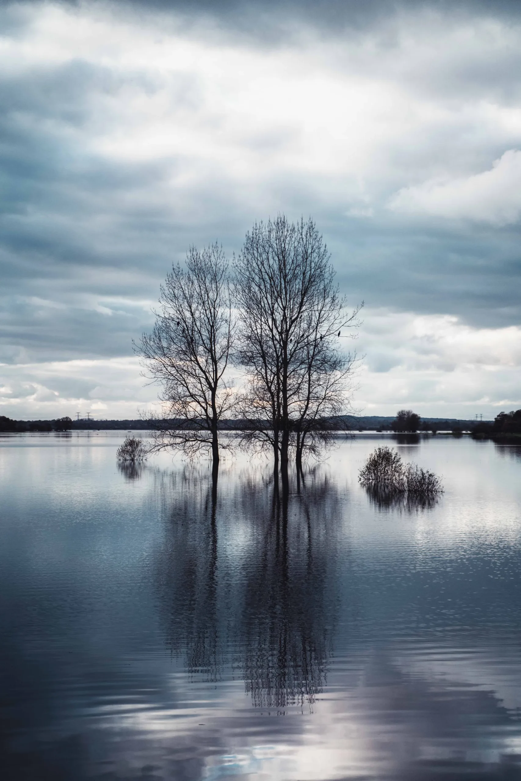 Marais du Cotentin