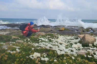 Séjour – marées d’Equinoxe dans le Cotentin