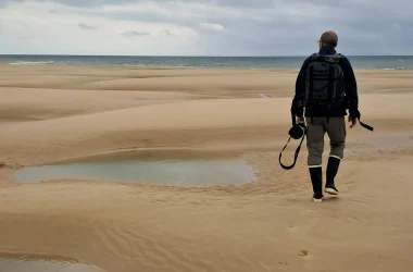 Séjour “Les oiseaux au pays des marais blancs”