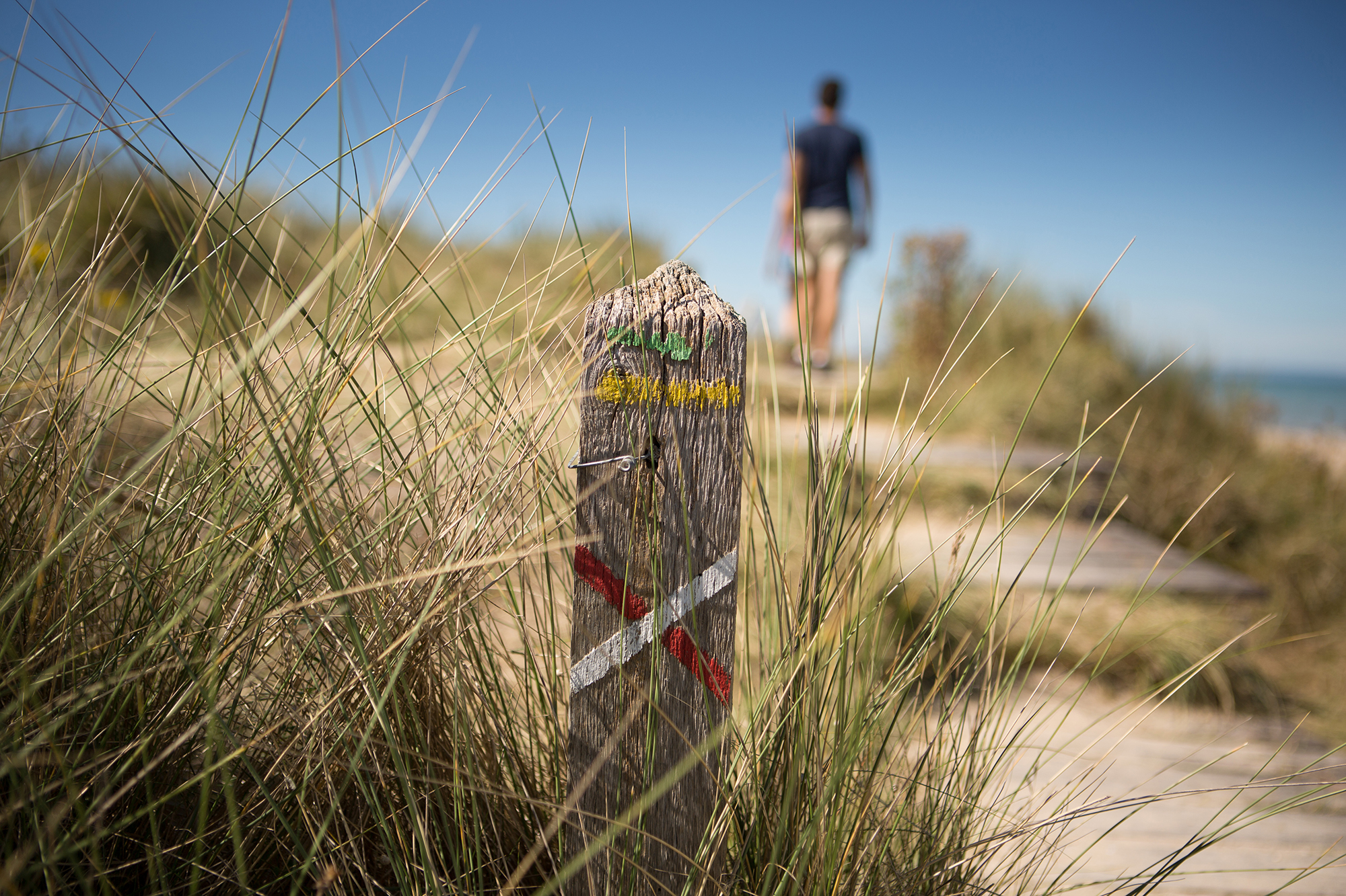 Pourvu | Offre de stage | Suivi et coordination pour l’édition de topoguides de randonnée