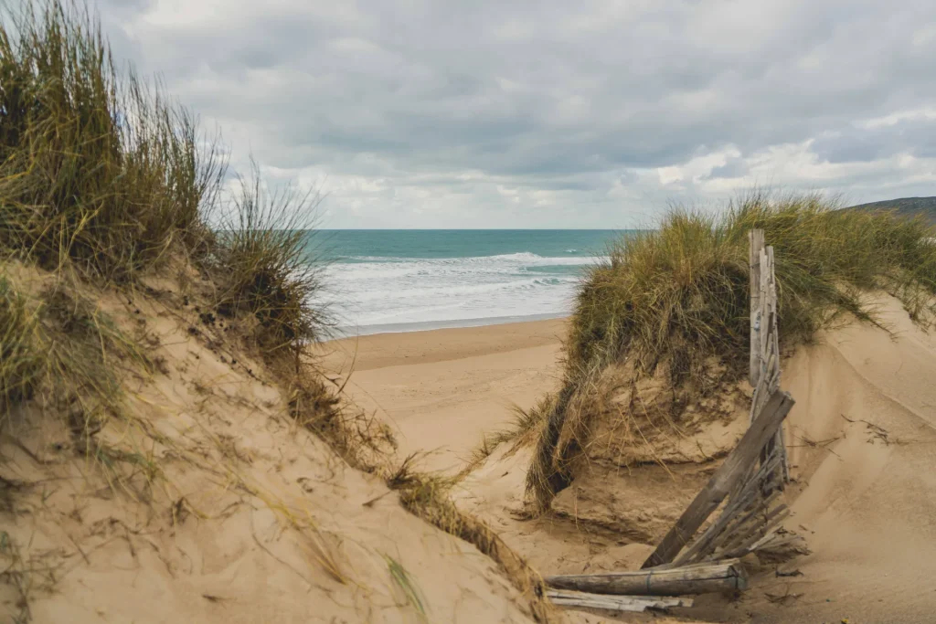 Plage-de-Surtainville