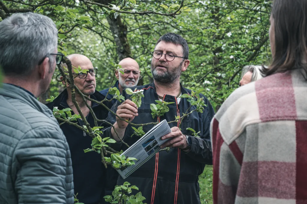 Producteur de cidre Capelle