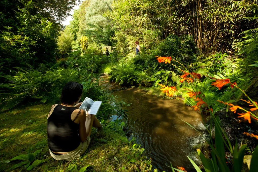 La hague jardin prévert