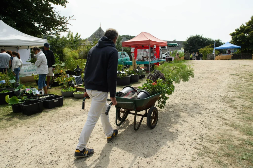 Plantes et saveurs cotentin