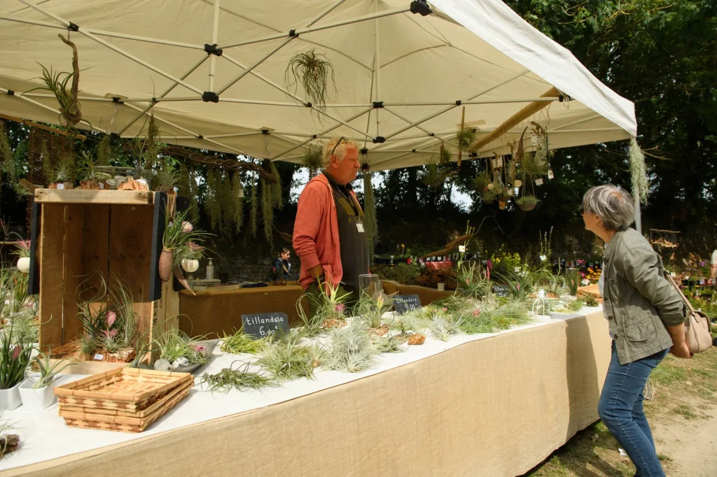 Plantes et saveurs cotentin