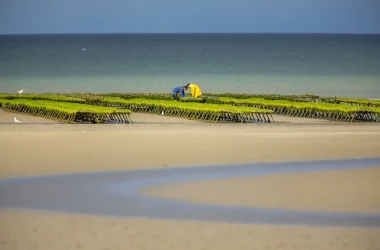 Séjour “Les oiseaux au pays des marais blancs”