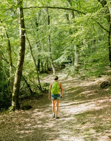 Balades et randonnées à Saint-Sauveur-le-Vicomte et ses environs