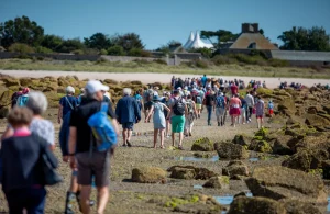 L’agenda de Saint-Vaast-la-Hougue