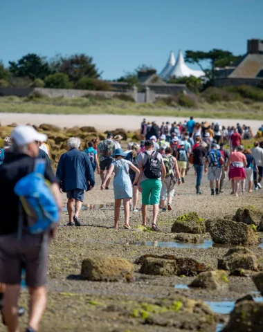 L’agenda de Saint-Vaast-la-Hougue