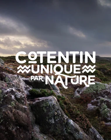 La Marque Cotentin Unique