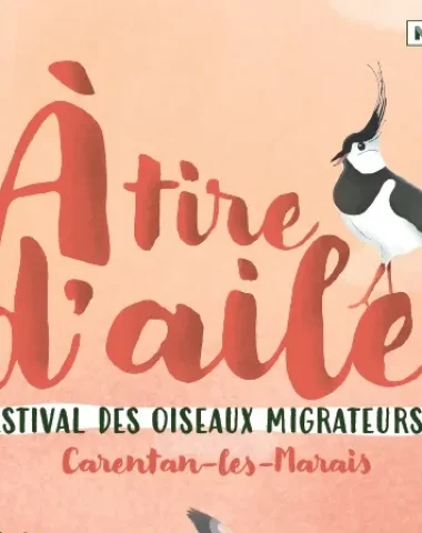 À tire d’aile, le festival des oiseaux migrateurs