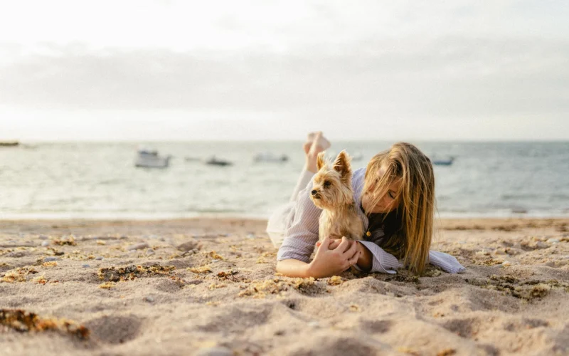 Plage Fermanville chien