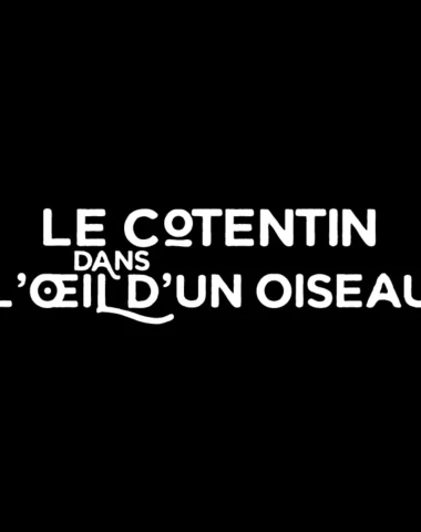 Le Cotentin dans l'œil d'un oiseau | 360°