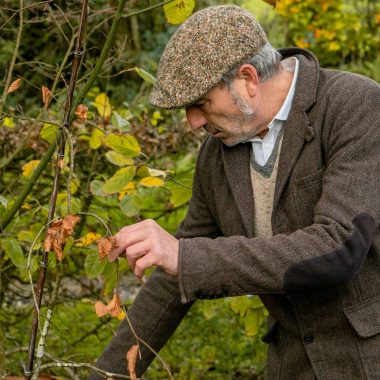 Stéphane Marie, le jardinier du Cotentin