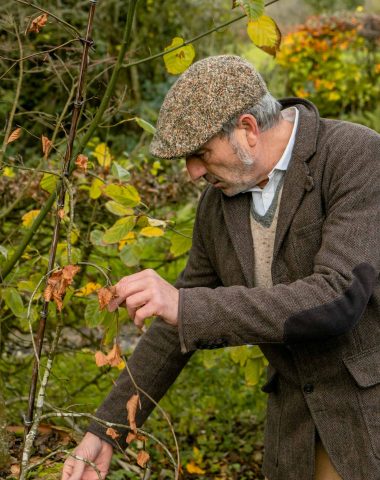 Stéphane Marie, le jardinier du Cotentin