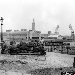 Une websérie dédiée à la Gare Maritime Transatlantique de Cherbourg