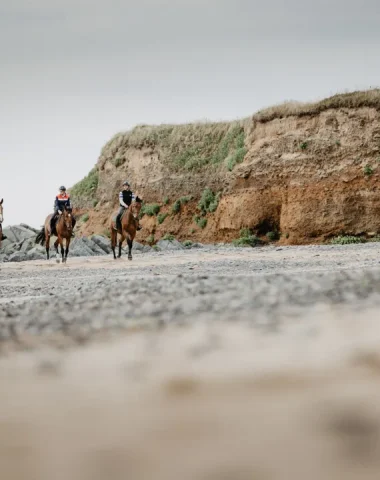 chevaux plage cotentin