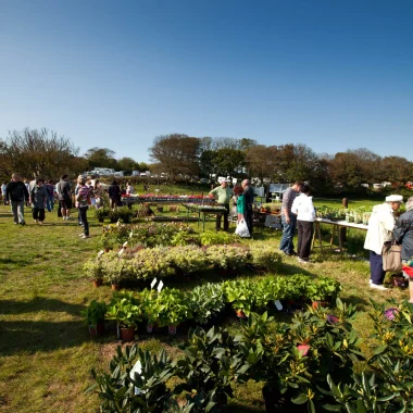 Plantes et saveurs cotentin