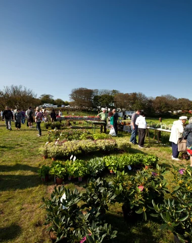 Plantes et saveurs cotentin