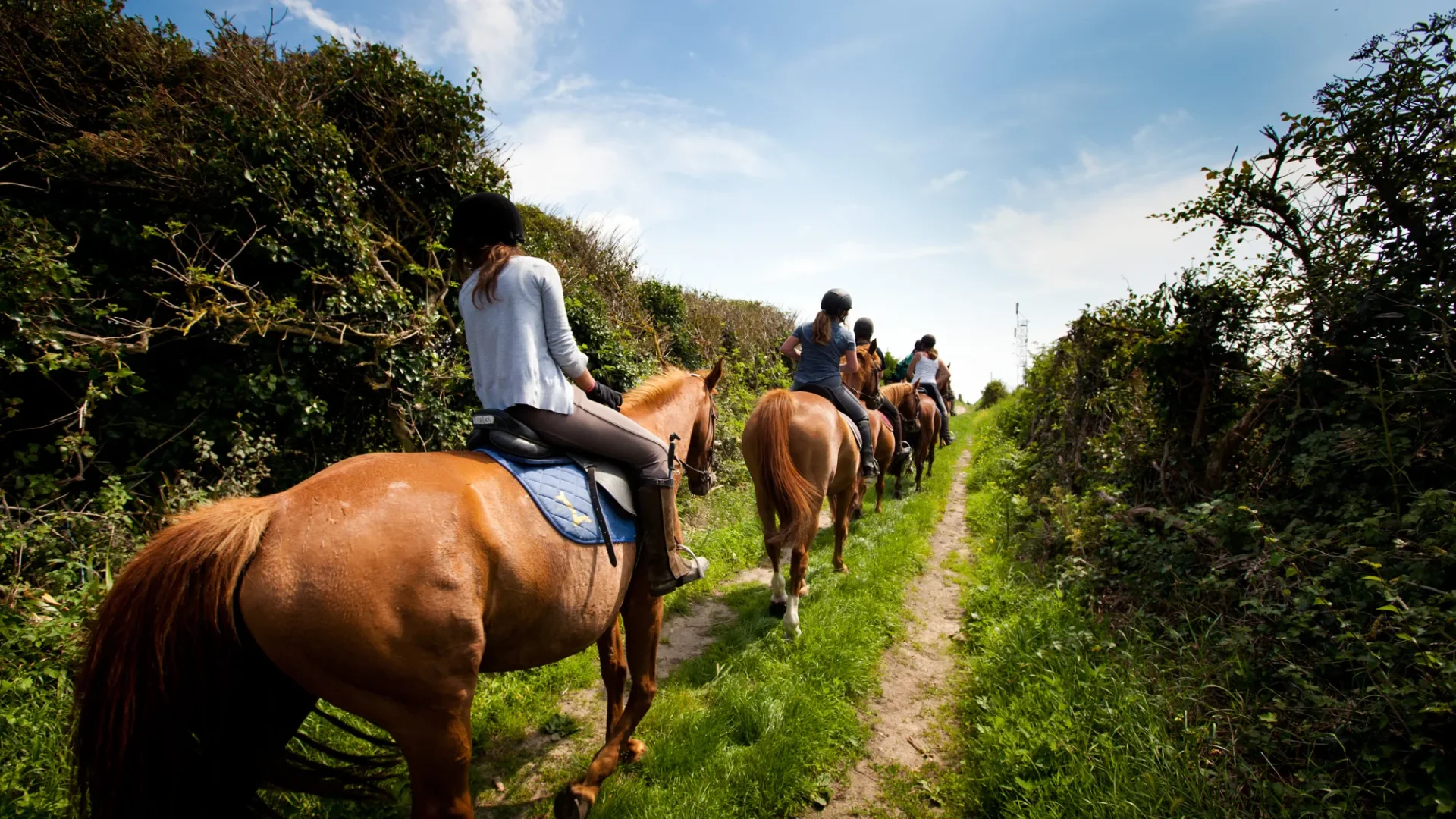 balade à cheval rozel cotentin