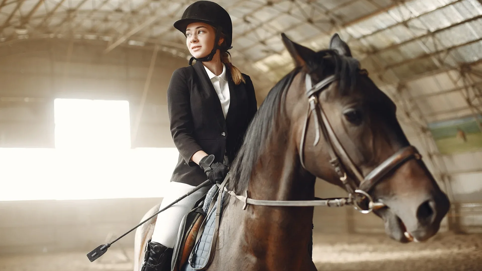 cours et centre d'équitation