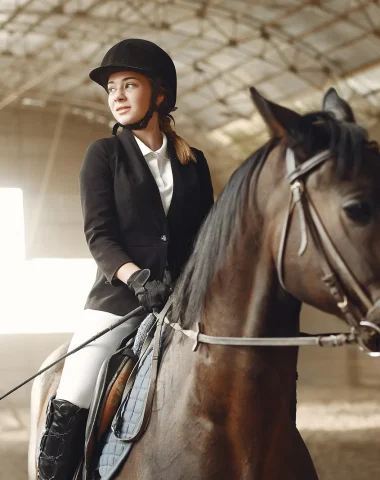 cours et centre d'équitation